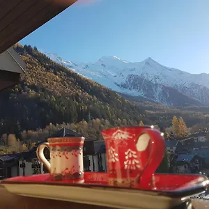 Vue Montblanc Magique En Centre-ville Avec Parking Appartement